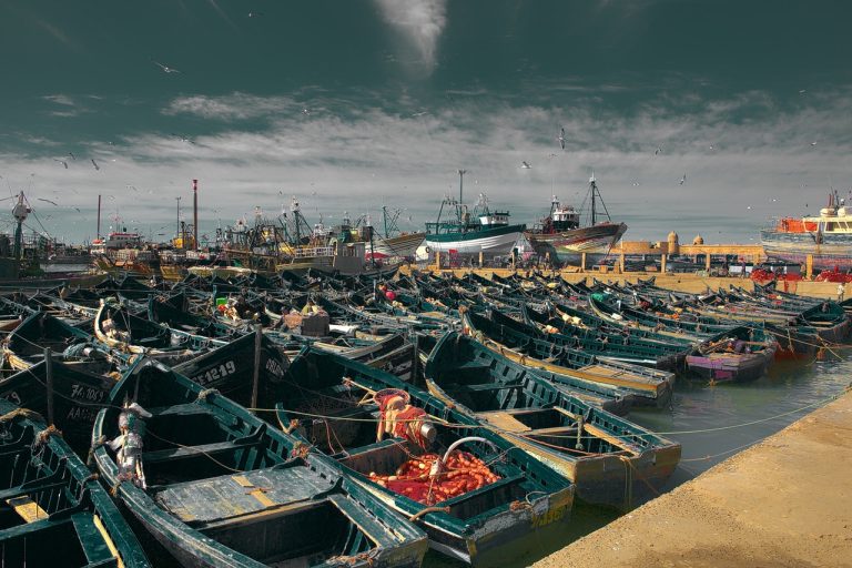 Essaouira: A Place of Peaceful Harmony where History and the Sea Meet